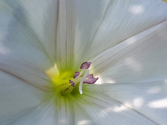 20180611_085038.jpg