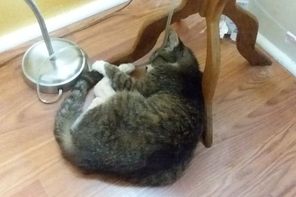 20191019_195924.jpg