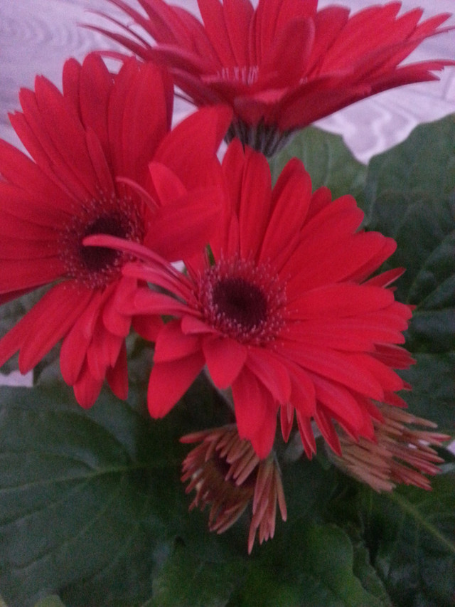 20180518_080332.jpg