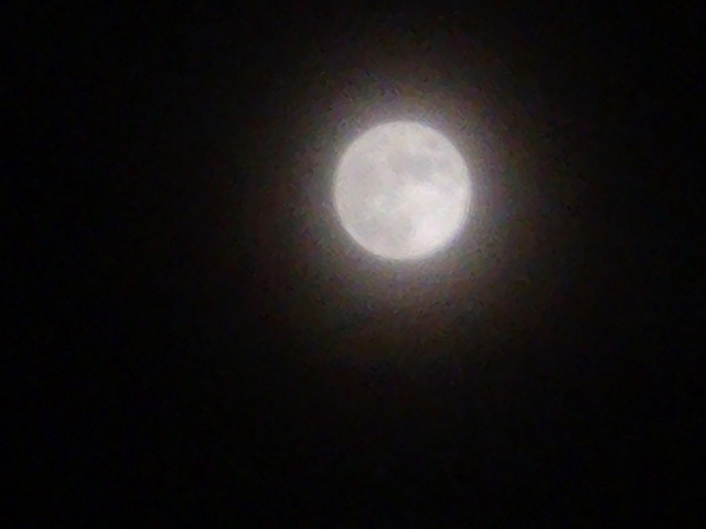 20260501_222402.jpg