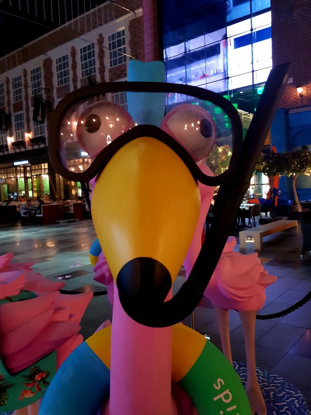 20180922_232530.jpg