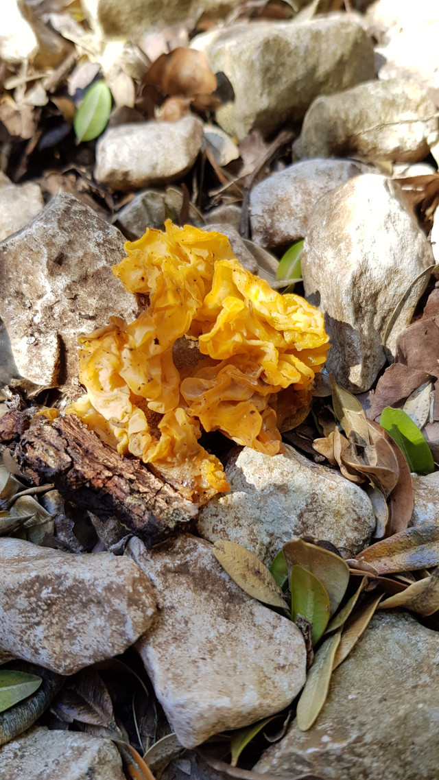 20180401_121821.jpg