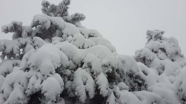 20140209_085143.jpg