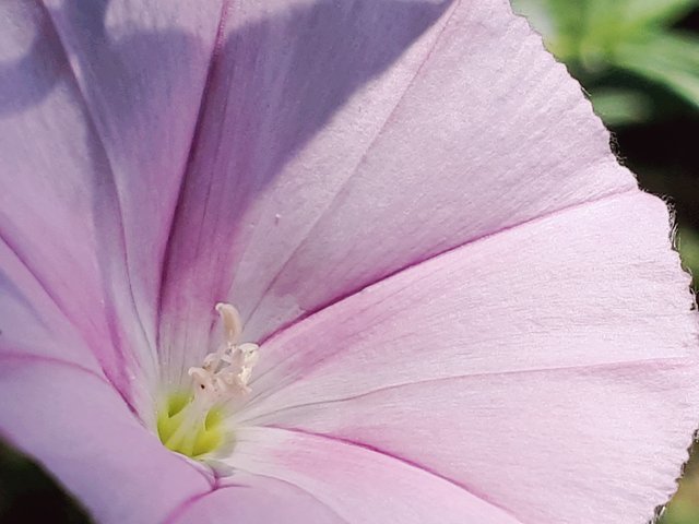 20190201_142629.jpg