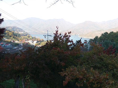 20181103_152730.jpg