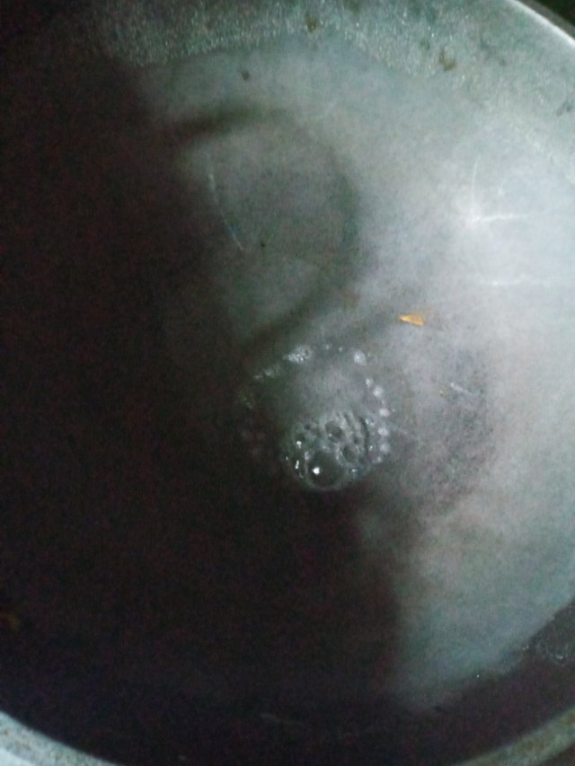 20220528_131648.jpg
