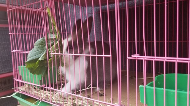 20181013_163823.jpg