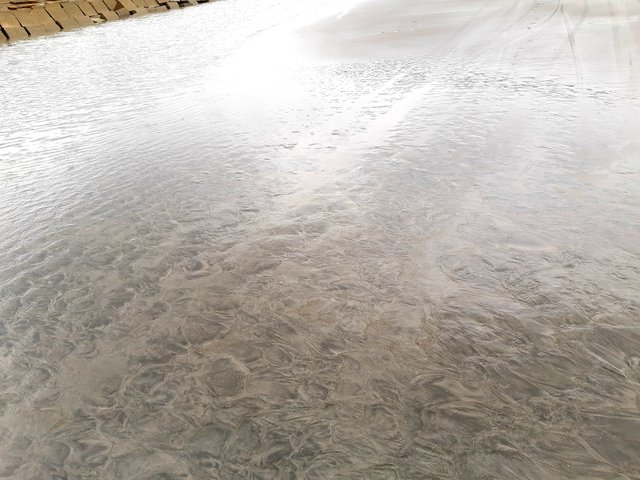 20220602_160120.jpg