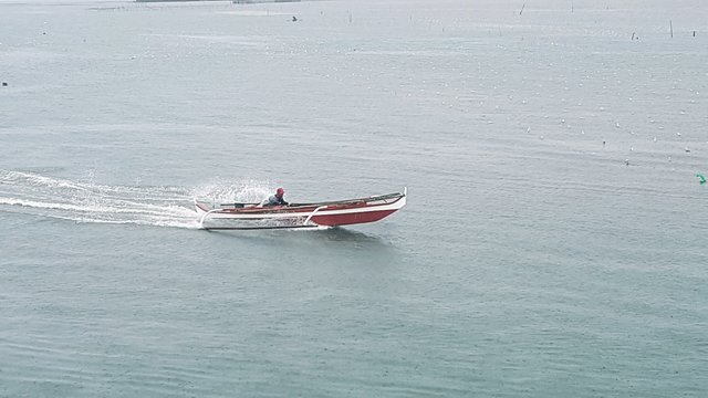 20180809_103500.jpg