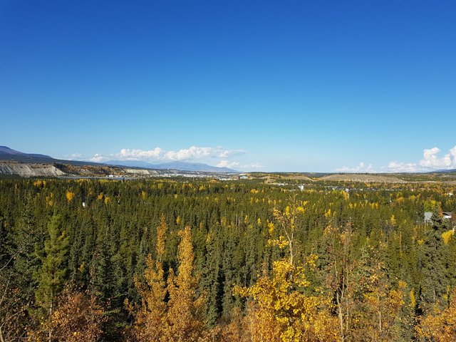 20170920_141244.jpg