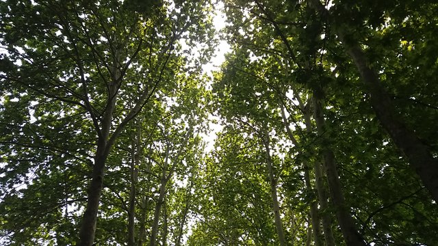 20180424_132721.jpg