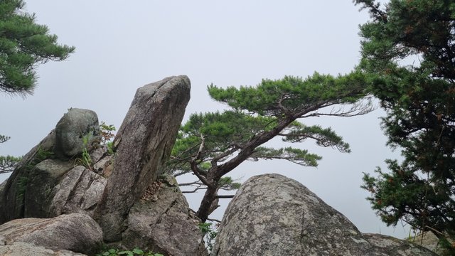 20220726_083108.jpg