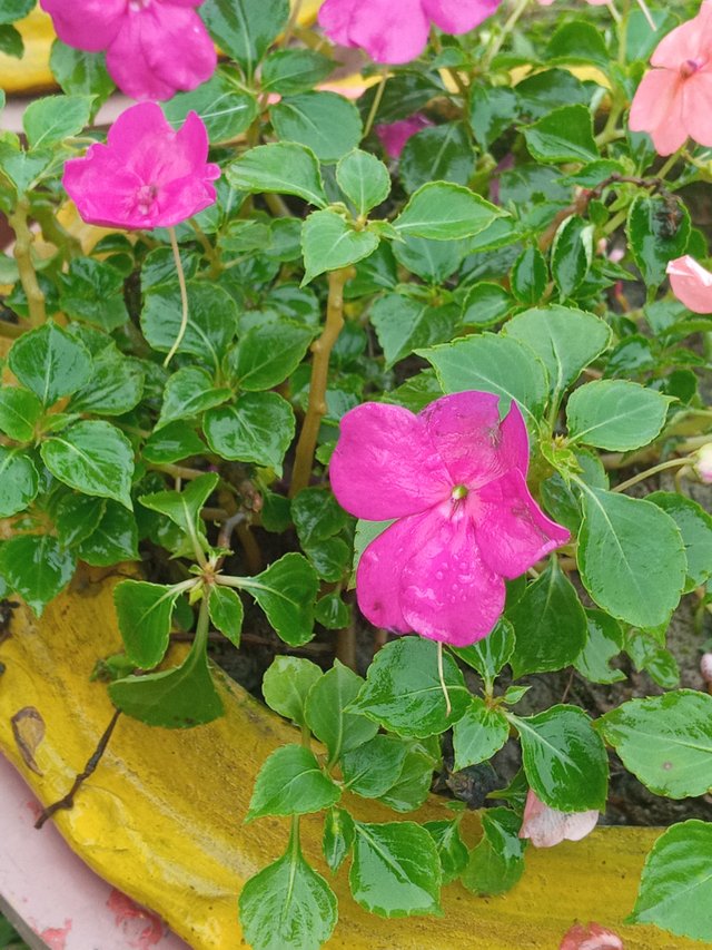 20230326_081438.jpg
