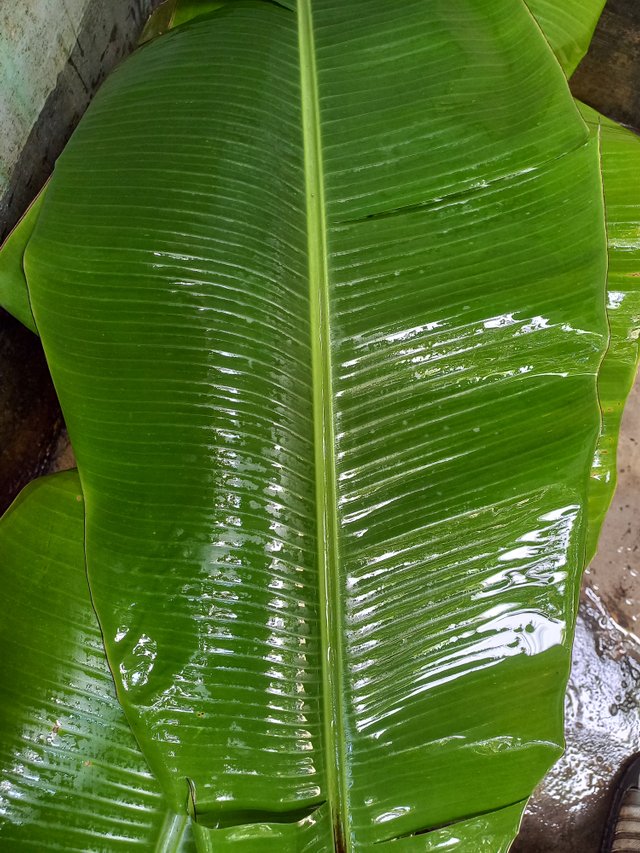 20220805_123927.jpg