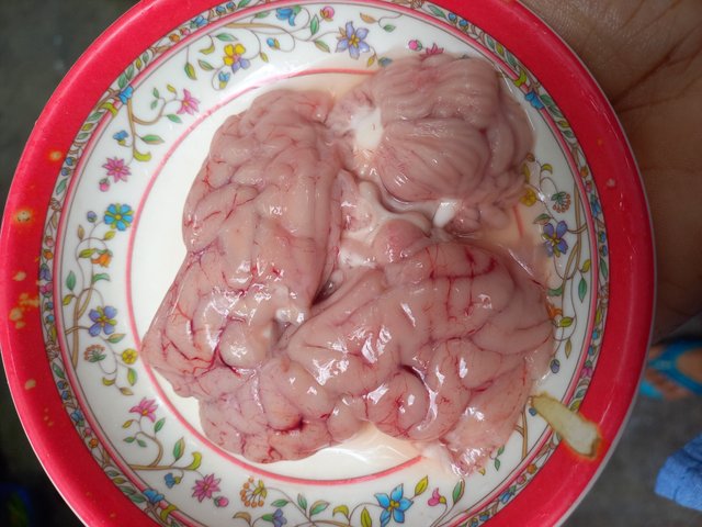 20220711_121650.jpg