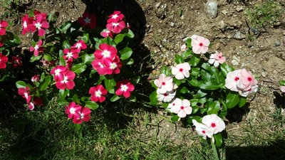 20180715_111232.jpg