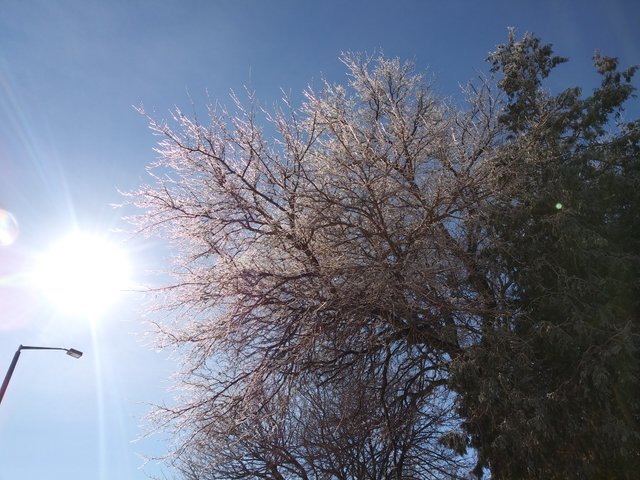 20190209_110925.jpg