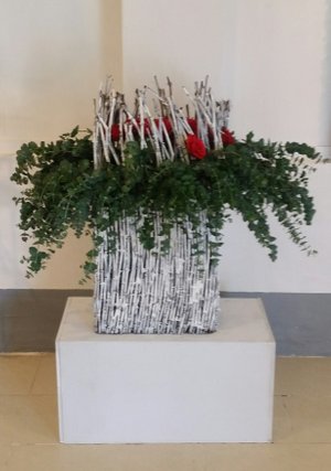 20180603_155328.jpg