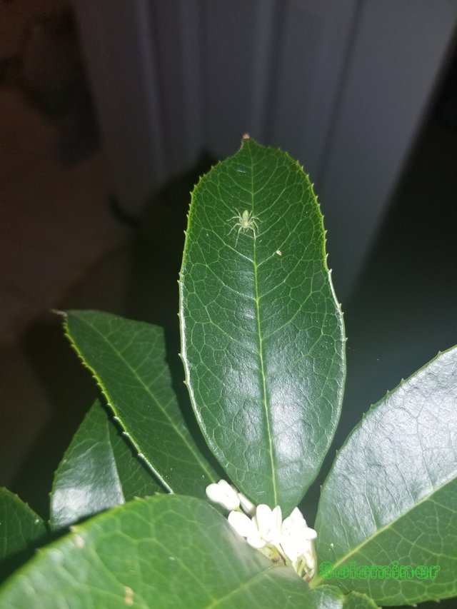20181029_104828.jpg