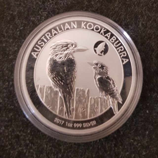20190203_154854.jpg