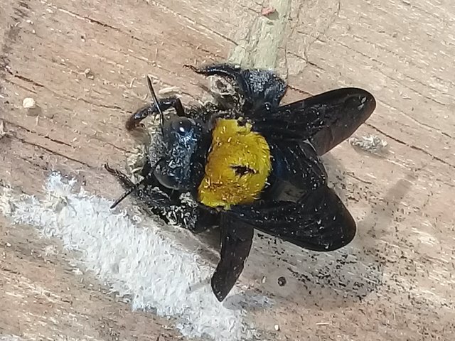 20180911_200052.jpg