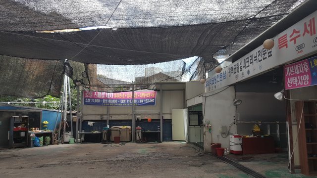 20180902_124020.jpg