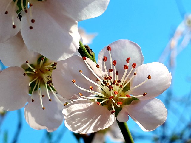 20190325_184045.jpg
