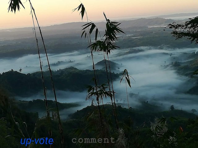 20180823_082738.jpg