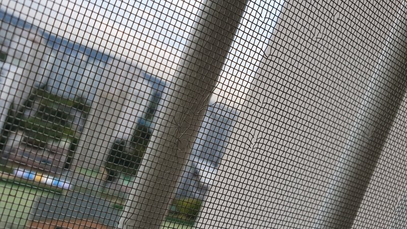 20190927_174358.jpg