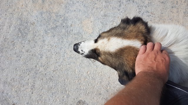 20160921_111131.jpg