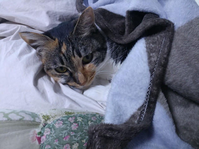 20180110_170323.jpg