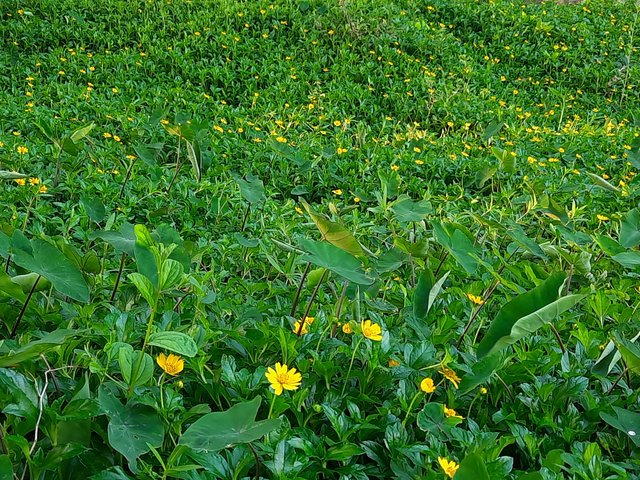 20220512_173649.jpg