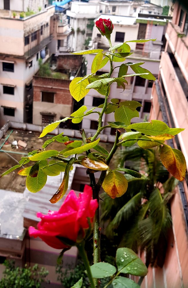 20220814_183135.jpg