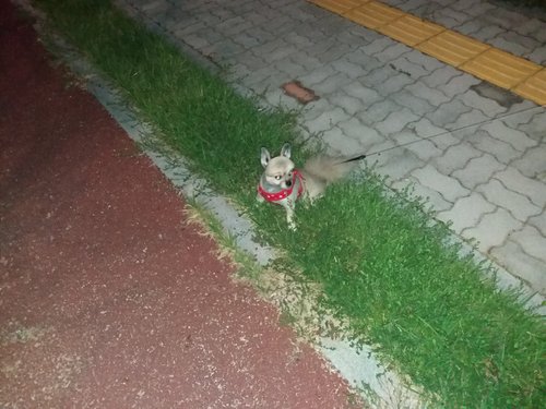 20180913_190941.jpg