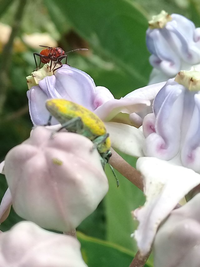 20180628_074012.jpg