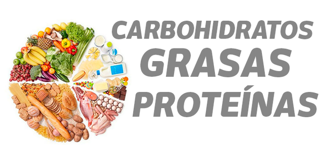 Proteina con o sin carbohidratos