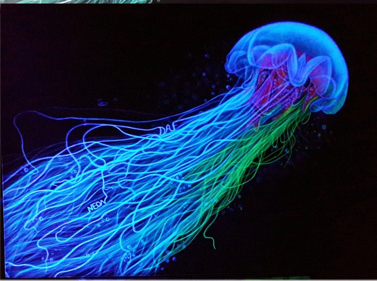 Медуза люминесценция