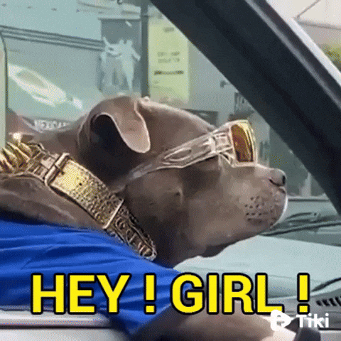 HappyHeyGirlGIFbyTikivideo.gif