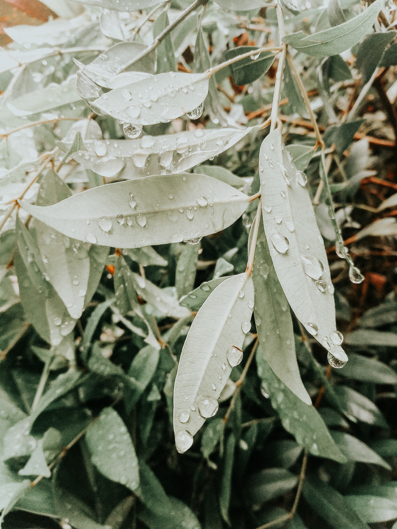 LRM_EXPORT_20180901_063647.jpg