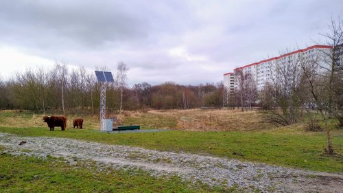 Kein Bild