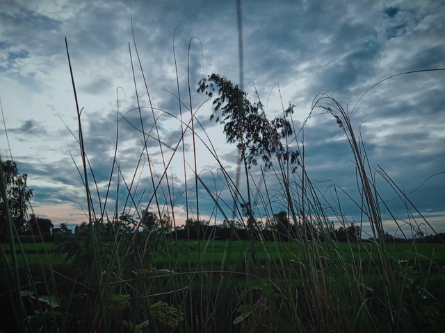 IMG20221003162213_00 (1).jpg
