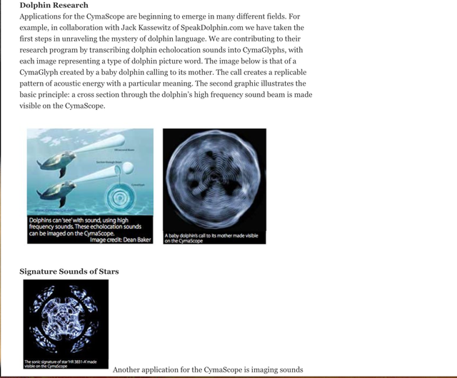 Dolphin Sonar Research.png