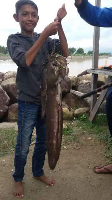 received_1971345319794843.jpeg