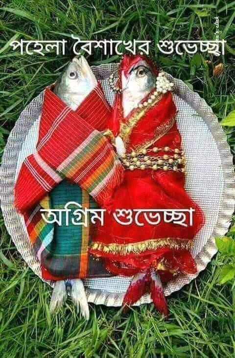 received_1846464235378167.jpeg