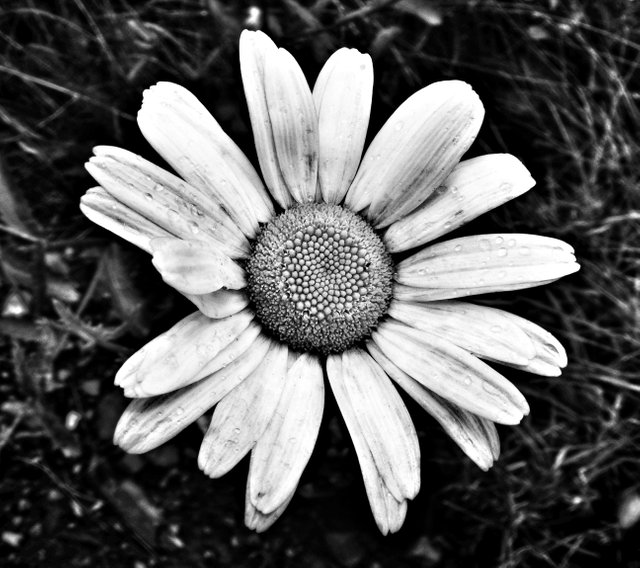 2008_0723july080129-01-01.jpeg