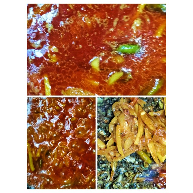 PhotoCollage_1697363323968.jpg
