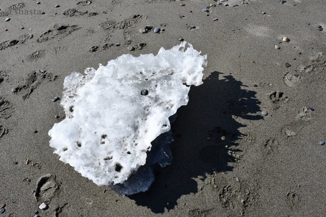 shasta2019april3rd47ice5io.jpg