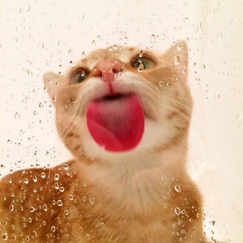 morning_picdump_627_640_38.jpg