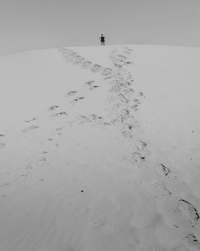 _DSC6929-ARW_DxO_DeepPRIME.jpg