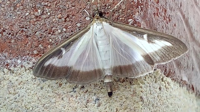 IMG_20180819_162450024_HDR.jpg